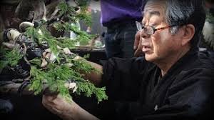 Kunio Kobayashi styles a Juniper Bonsai at BWB