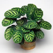 Buy indoor plants by waitrose garden. 18 Best House Plants To Grow Inside British Gq
