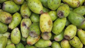 The genus is named after the ancient greek city of opus. How To Harvest Eat Prickly Pear Cactus Fruit