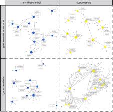 High Throughput Sirna Screening Reveals Functional Interactions And Redundancies Of Human Processive Exoribonucleases Biorxiv