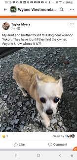 Our mission is to help abandoned, abused and neglected animals. Pet Adoption League Home Facebook