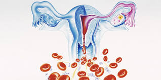 Yorum yapabilmek için üye girişi yapmanız gerekmektedir. Endometrium Rahim Kanseri