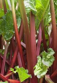 Nos Astuces Pour Des Pieds De Rhubarbe Vigoureux Jardins Astuce Jardin Jardinage