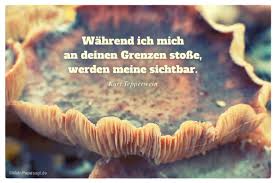 Wahrend Ich Mich An Deinen Grenzen Stosse Werden Meine Sichtbar Spirituelle Spruche Zitate Weisheiten