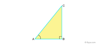 Plane geometry solid geometry conic sections. Introduction To Trigonometry Class 10 Chapter 8 Notes