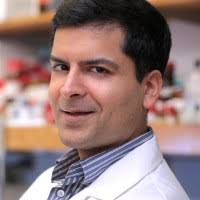 500+ "Samie" profiles