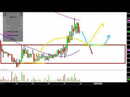 Cormedix Inc Crmd Stock Chart Technical Analysis For 08