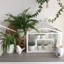 Pin Von Fjara Addams Auf Komnata Ikea Gewachshaus Gewachshaus Gewachs