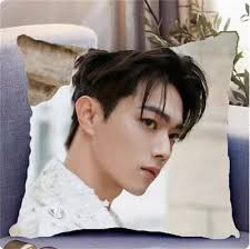 new 许凯 Xu Kai Pillow gift 承欢记