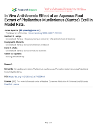 Image result for Phyllanthus muellerianus