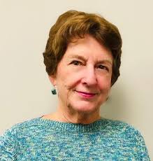 2023 VSA Journal Book by Volunteer New York!