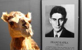 Configure kafka consume and producer route 3. Getting Kafka Ready For A Camel Ride Dzone Integration