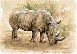 Big Five Watercolor Gallery African Wildlife Watercolor Art Animal Paintings Rhino Painting Animal Stencil