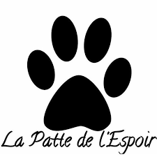 Vous pouvez adopter chiens et chats. La Patte De L Espoir Pattedelespoir Tvitter