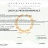 Diplôme pour anniversaire, certificat sportif, certificat scolaire, diplôme associatif, challenge sportif, diplôme honorifique. 1