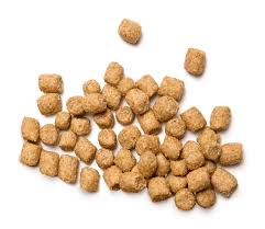 If you are looking for answers, you have come to the right place! Do You Know If Your Dog Is Eating Too Much Or Not Enough Read To Learn More Born Free