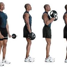 Ez Bar Curl Exercise How To Workout Trainer By Skimble