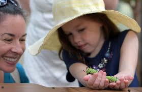 PHOTOS: Caterpillar Lab at Tower Hill