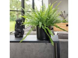 Image result for ledviník