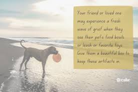 Do you send flowers when a pet dies. What To Get Someone Whose Dog Died 15 Gift Ideas Cake Blog