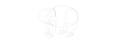 Diese gesichtskunst zeichnung zeigt ihnen die grundprinzipien des zeichnens charakter für anfänger. Wie Zeichne Ich Einen Panda Schritt Fur Schritt