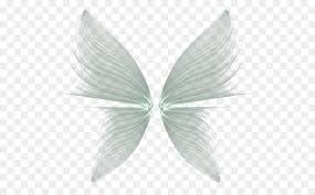 Horses, giraffes & more canvas print. Butterfly Black And White Png Download 600 547 Free Transparent Butterfly Png Download Cleanpng Kisspng