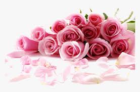 Download best hd, 4k wallpapers for desktop, mobiles, tablets in high quality hd, 1920x1080 full hd, 4k ultra uhd, 5k, 8k suhd popular resolutions. Rose Flower Desktop Wallpaper Stock Rose Wallpaper Hd For Pc Hd Png Download Kindpng