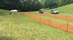 Our goal is for you and your furry friends to have the best fast cat experience possible. Kiss Running Her Akc Fast Cat Youtube