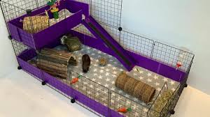 Guinea pigs are grazing animals and need space to roam around and play. C C Guinea Pig Cages Home Facebook