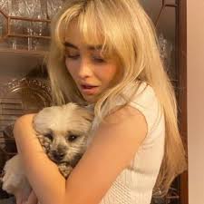 VAI BRASILIAM (@lucclaysen)