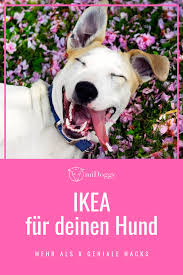 Pin Auf Diy Fur Hunde