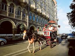 Mumbai horse carriage ban leaves working families in fear