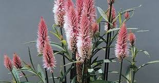 Pin On Silk And Dry Flower Arrangements