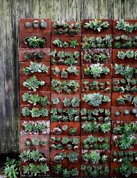 Design Sponge Brick Wall Gardens Succulents Succulents Diy