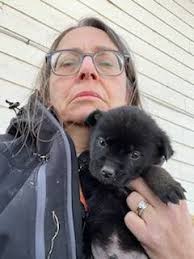 The next group of volunteers, who got dragged round the block, slobbered