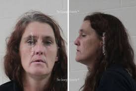 Houston County Crime