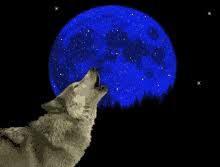 Howling moon (ハウリングムーン, hauringu mūn?), also known as moon song, is a recurring ability in the series. Howl At The Moon Gifs Tenor