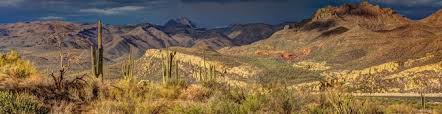 Cheap Glendale Apartments For Rent From 400 Glendale Az