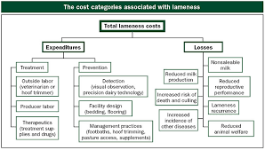 Image result for hoof disease chart for cow