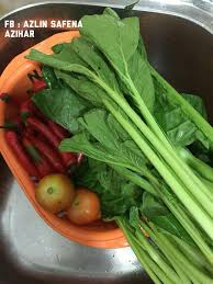 Daun bawang adalah bagian dari bawang yang diambil pada bagian daunnya yang biasanya digunakan untuk sebagai bagain dari pelengkap setelah memilih bibit dari daun bawang yang akan digunakan, maka tahapan selanjutnya adalah dengan cara menyiapkan benih yang akan digunakan. Petua Simpan Sayur Tahan Lama Lepas Seminggu Tetap Segar Macam Baru Beli