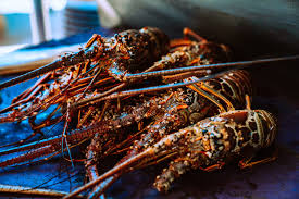 How to cook lobster tail? How To Cut Open A Lobster Tail Like A Boss Megan Waldrep