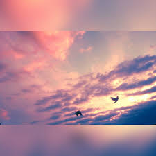 Thebirds Sky Ucankuslar Gokyuzu Dostluk Friedship Tablolar Ucan Kus Gokyuzu