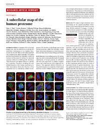 Pdf A Subcellular Map Of The Human Proteome E Lundberg And Sunjae Lee Academia Edu
