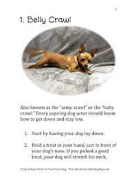 5 Cool Easy Tricks To Teach Your Dog