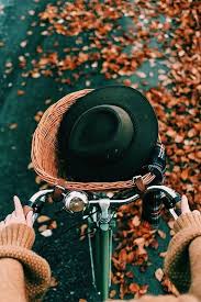 اجمل خلفيات 2020 باللون البرتقالي للموبايل فوتوجرافر Autumn Inspiration Fall Vibes Hello Autumn