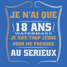 Anniversaire 18 Ans Idee Cadeau Humour Ours En Peluche Spreadshirt