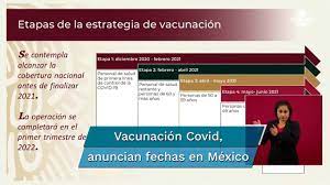 Evaluación en un número reducido de personas, generalmente menos de 100 adultos para evaluar inicialmente su seguridad y sus efectos. En Mexico Cuando Y Donde Ponen La Vacuna Del Coronavirus Fechas Y Acceso Por Edades Goal Com