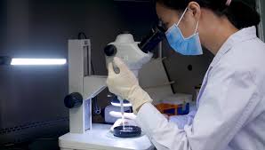 Read the requirements and directions of each project carefully. Jove Peer Reviewed Scientific Video Journal Methods And Protocols