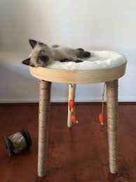 Kitty Hack From Kmart Pet Hacks Cat Hacks Crazy Cats