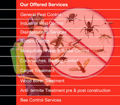 Vinay sharma in the year 1986, with a sole aim to provide experienced technical advice and quality service in the trade. Pest Control Sanitization Services In Pilibhit Hapur Jp Nagar Pest Control Services Provider In Sitarganj Haridwar Dehradun